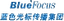 BlueFocus logo