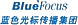 BlueFocus logo