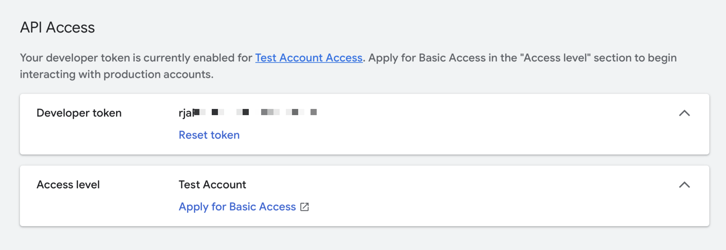 Legacy Google Ads developer token and access-level screen